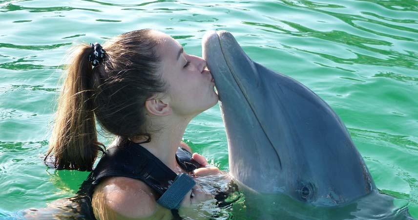 Дельфинарий в Алании