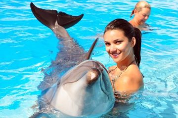 Плавание с дельфинами в Анталии