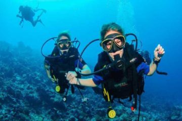 Kemer Diving Tour - Excursion Market - Dive with us! - Cheap Prices!