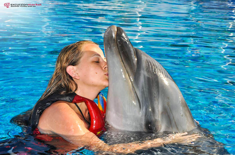 Kemer Swimming with Dolphins - Dolphin Park in Kemer - Price - Details