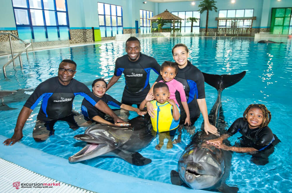Kemer Swimming with Dolphins - Dolphin Park in Kemer - Price - Details