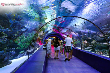 Belek Aquarium Tour - Price and Details - Excursion Market - Cheap Prices