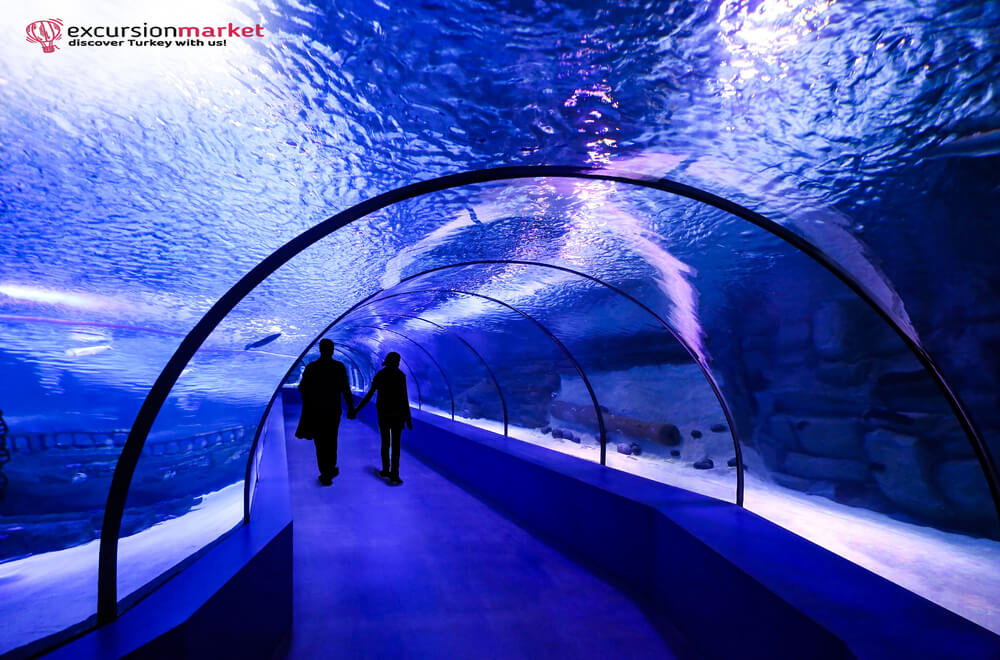 Antalya Aquarium Tour - Aquarium Tour from Antalya - Price and Details