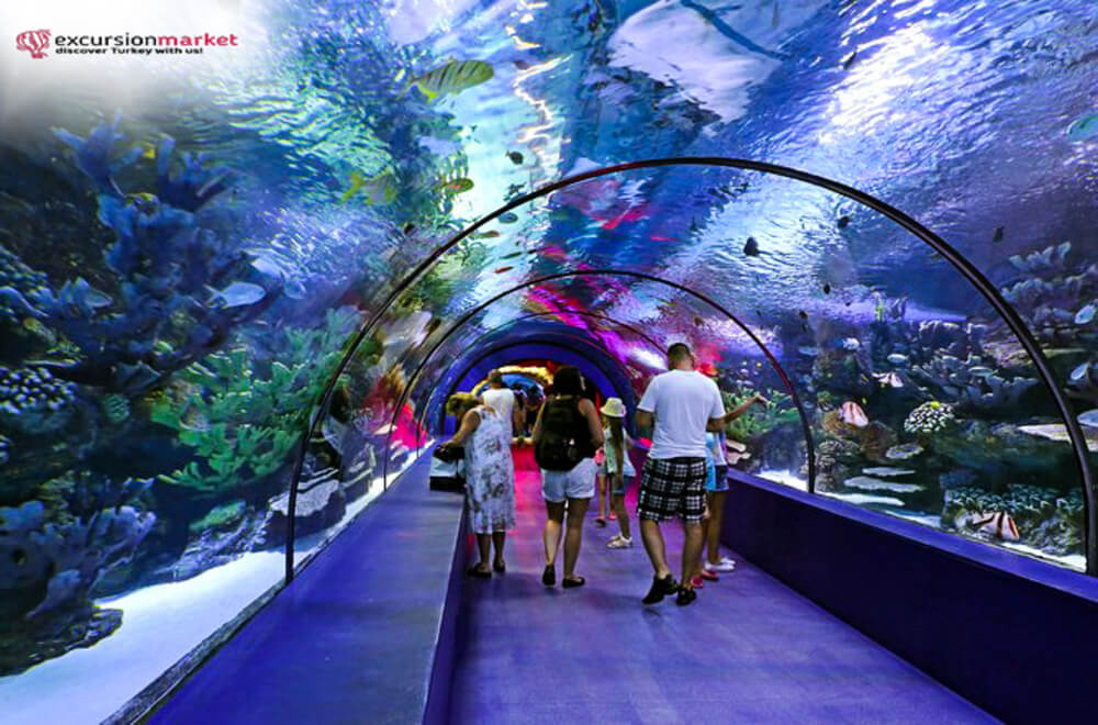 Antalya Aquarium Tour from Alanya - Excursion Market - Cheap Prices