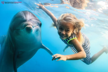 Antalya Swim with Dolphins Tour - Dolphin Park in Antalya - Price - Details