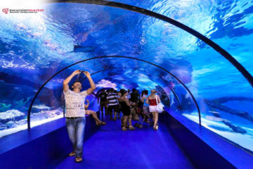 Side Antalya Aquarium Tour - Aquarium Tour from Side