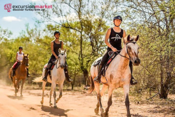 Side Horse Safari - Learn from the Professionals - Horseback Riding